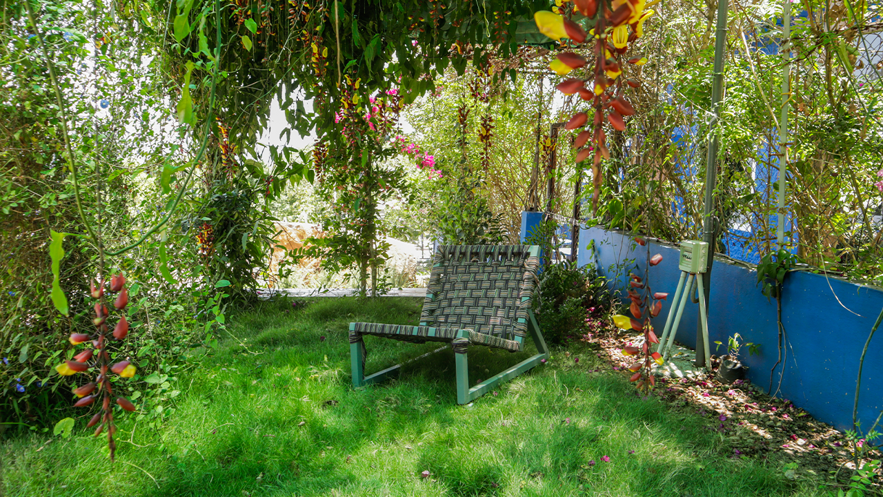 Eco conscious resort surrounded by greenery in Sirumalai