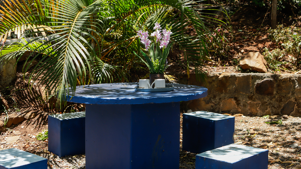 Peaceful jungle stay experience in Sirumalai Hills