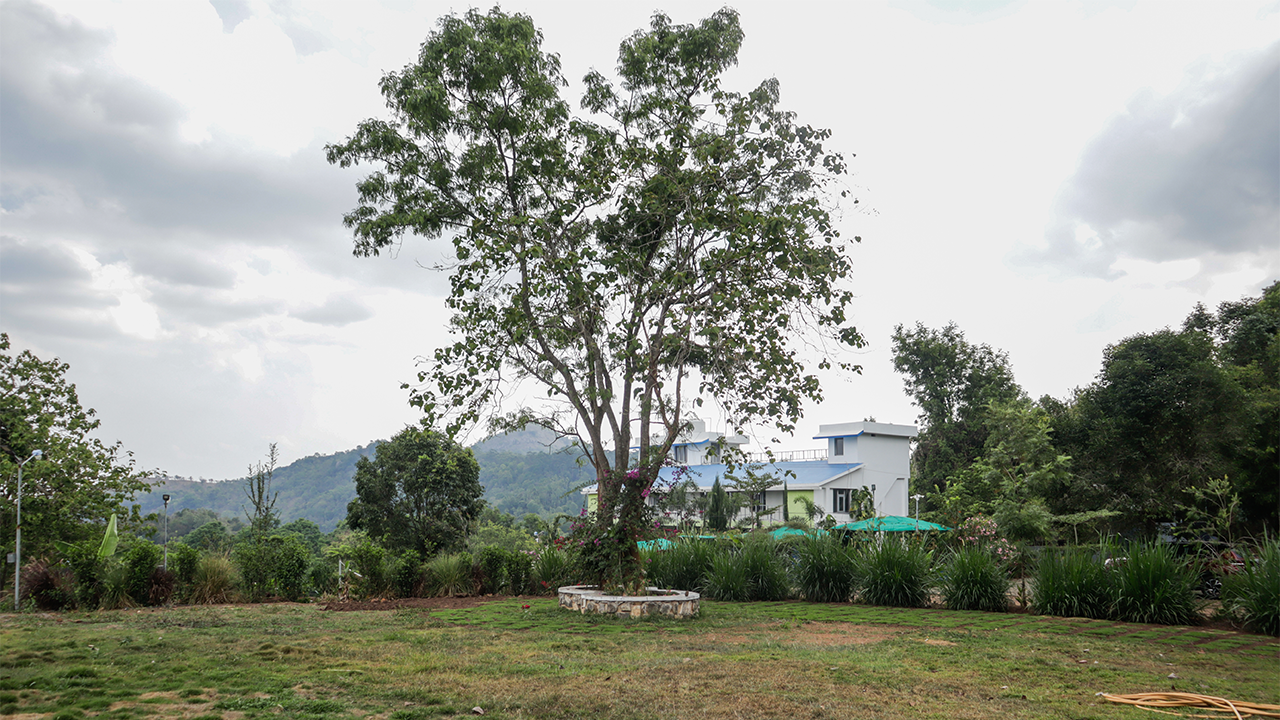 Sirumalai holiday resort with calm and scenic environment