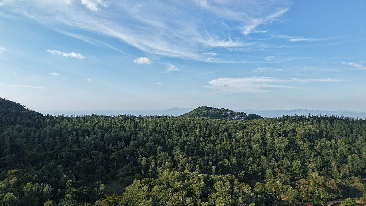 Scenic mountain view resort stay at Blue Hill Lotus Sirumalai