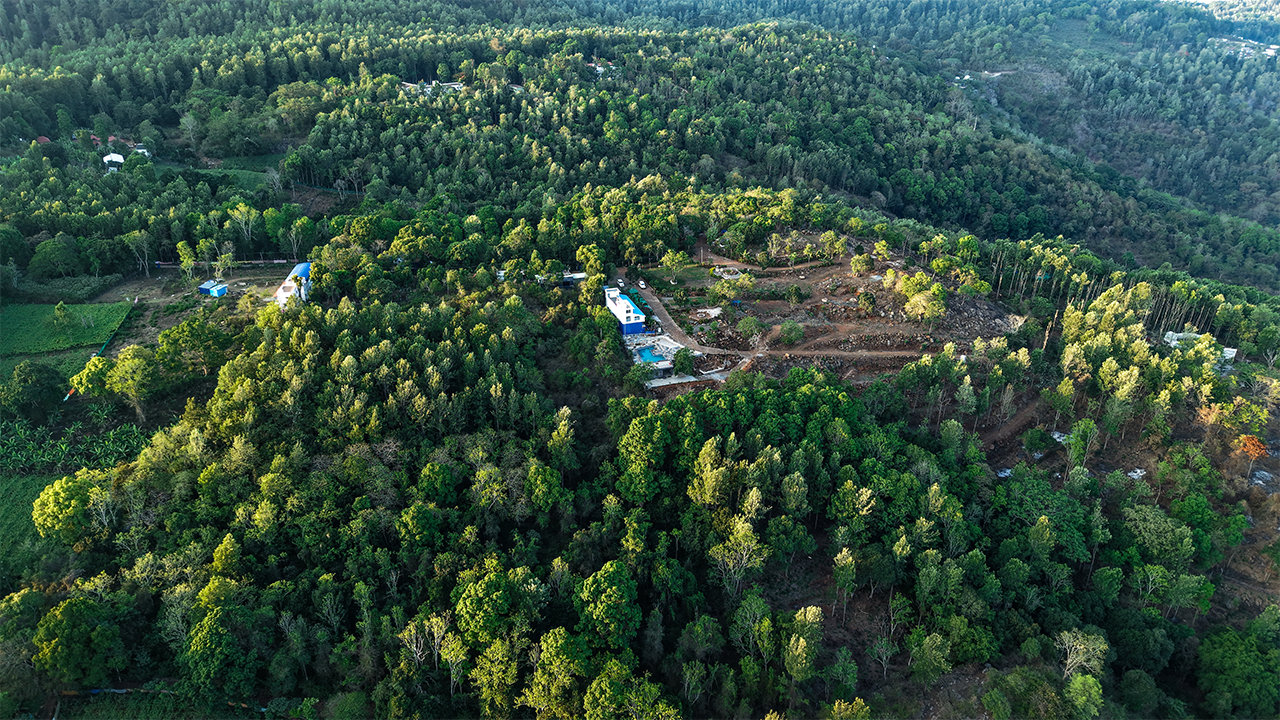 Forest retreat rooms at Blue Hill Lotus wellness resort