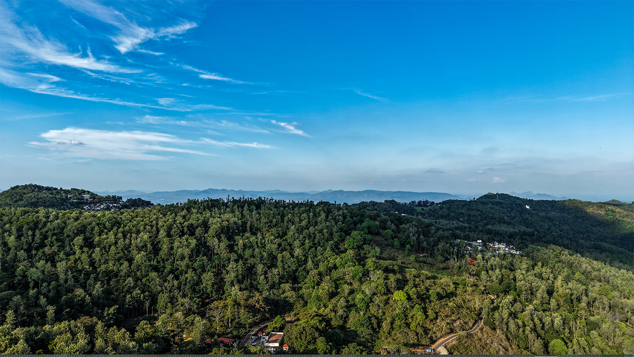 Luxury jungle view stay at Blue Hill Lotus Holistic Wellness Village
