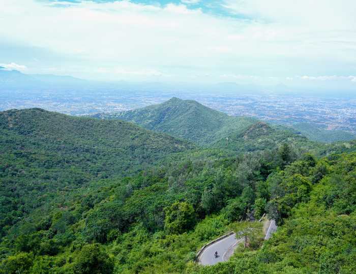 Blue Hill Lotus